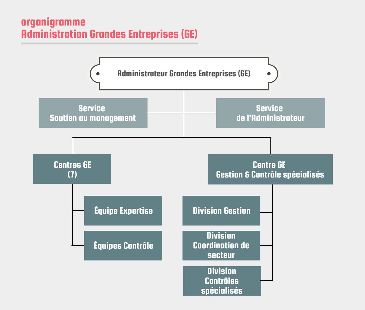 Service Soutien au management | Service de l'Administrateur | Centres GE (7) : Équipe Expertise / Équipes Contrôle | Centre GE Gestion & Contrôle spécialisés : Division Gestion / Division Coordination de secteur / Division Contrôles spécialisés